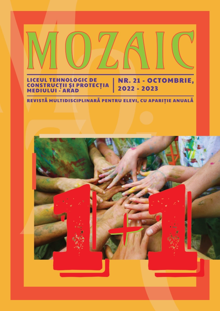 Revista_scolii_21 MOZAIC